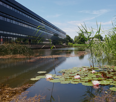 Gebäude der Hochschule Neu-Ulm mit Teich
